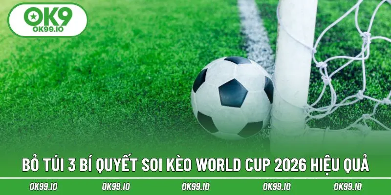 Bỏ túi 3 bí quyết soi kèo World Cup 2026 hiệu quả