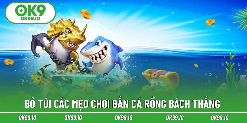 Bỏ túi các mẹo chơi bắn cá rồng bách thắng 