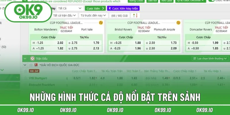 Khám phá các bộ môn đang thịnh hành hàng đầu