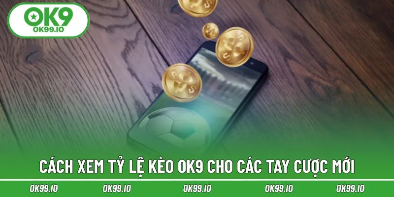 Cách xem tỷ lệ kèo OK9 cho các tay cược mới