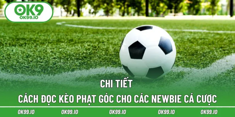 Chi tiết cách đọc kèo phạt góc cho các newbie cá cược
