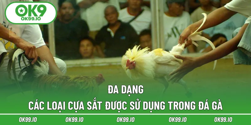 Đa dạng các loại cựa sắt được sử dụng trong đá gà