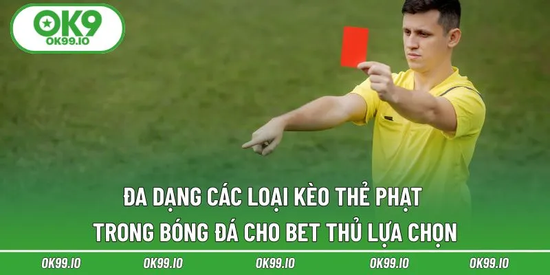 Đa dạng các loại kèo thẻ phạt trong bóng đá cho bet thủ lựa chọn