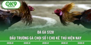 Đá Gà S128