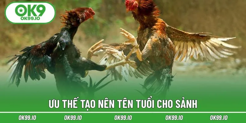 Điểm mạnh tạo sức cuốn hút cho sảnh