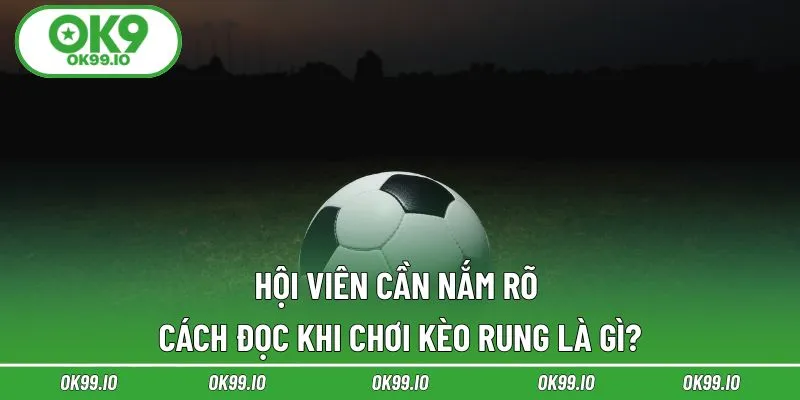 Hội viên cần nắm rõ cách đọc khi chơi kèo rung là gì?