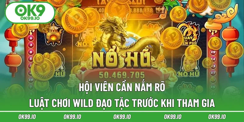Hội viên cần nắm rõ luật chơi Wild đạo tặc trước khi tham gia