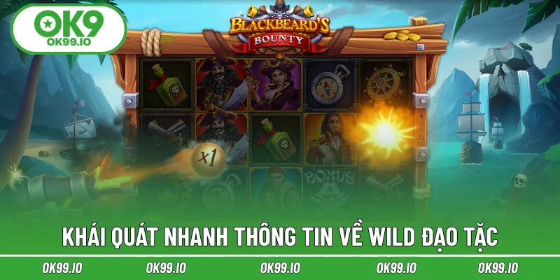 Khái quát nhanh thông tin về Wild đạo tặc
