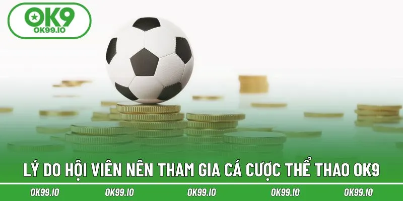 Lý do hội viên nên tham gia cá cược thể thao OK9