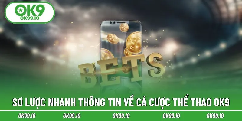 Sơ lược nhanh thông tin về cá cược thể thao OK9