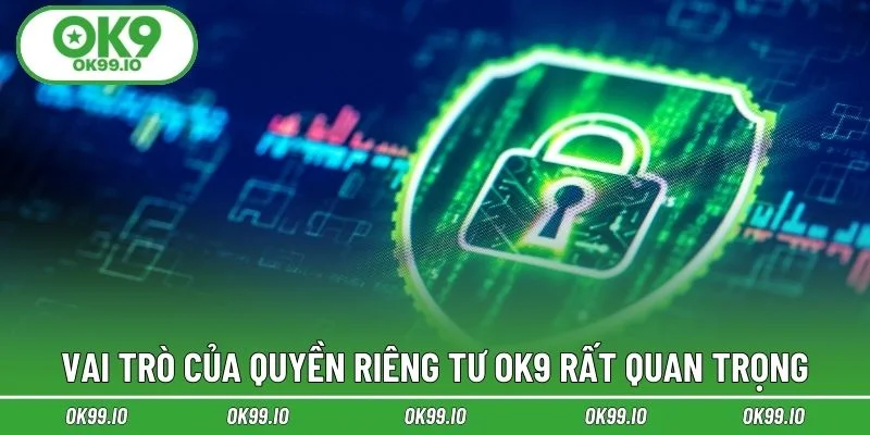 Vai trò của quyền riêng tư OK9 rất quan trọng